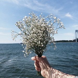 Meet your Posher, Elisha